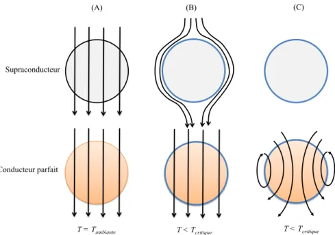 Figure 2 : Comparaison entre un conducteur parfait et l’effet Meissner d’un supraconducteur