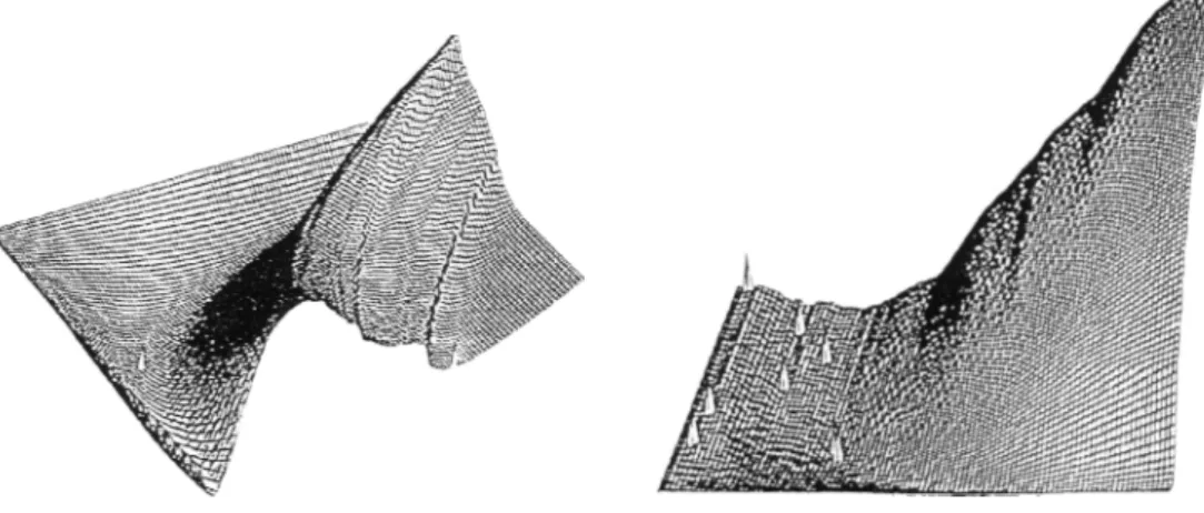 Figure III.8 :  Surfaces critères du modèle à six paramètres de Duan, Sorooshian et Gupta  (1992)