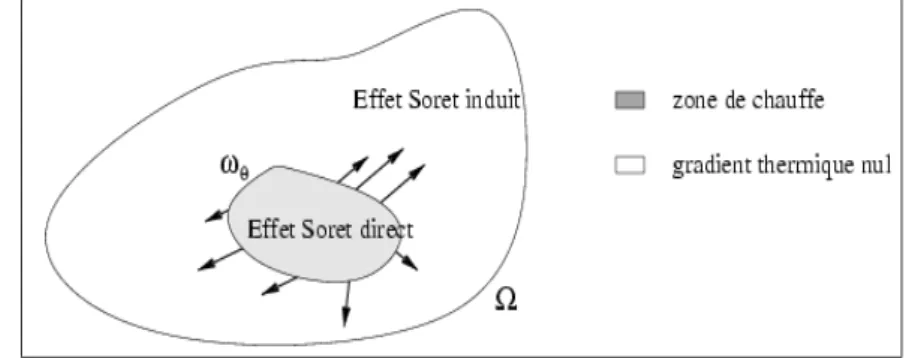 Fig. 3 – Zone d’influence du gradient thermique par effet Soret