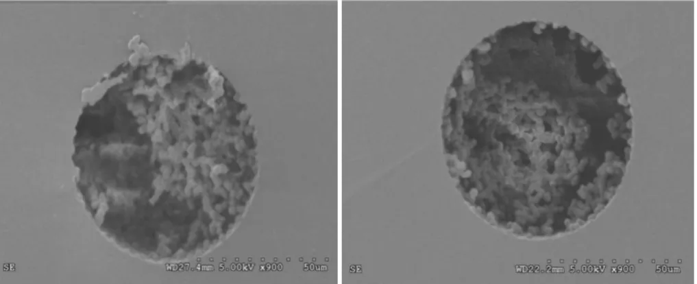 Figure V.5 : Observations MEB de colonnes monolithiques de silice. Les tubes capillaires ont subi deux méthodes  d’activation différentes