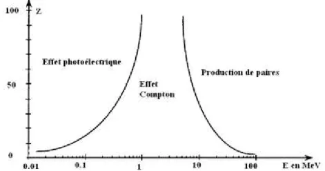 Figure 11 : Probabilité de réalisation des différents effets selon le numéro atomique [58] 