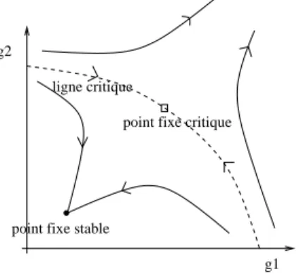Fig. 3.5 { Les points critiques (qui forment ici une ligne critique) marquent la separation entre les points de l'espace des constantes de couplage attires vers des points xes dierents.