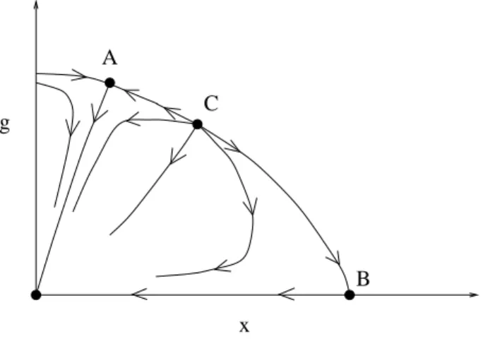 Fig. 4.4 { Allure conjecturee des ots de renormalisation pour un modele de c &lt; 1 (gure tiree de [16])