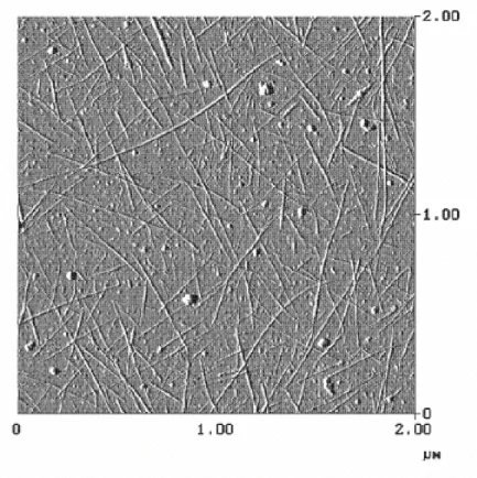 Fig. 2.3.14 – Image AFM de nanotubes V90 déposés sur un substrat en silicium après mise en suspension dans le NMP.