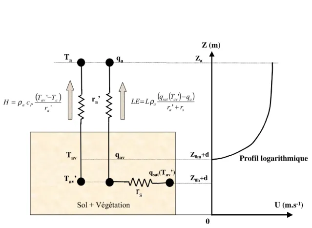 Fig. 2.1 : Modèle simple source : Schéma résistif et profil de vent 