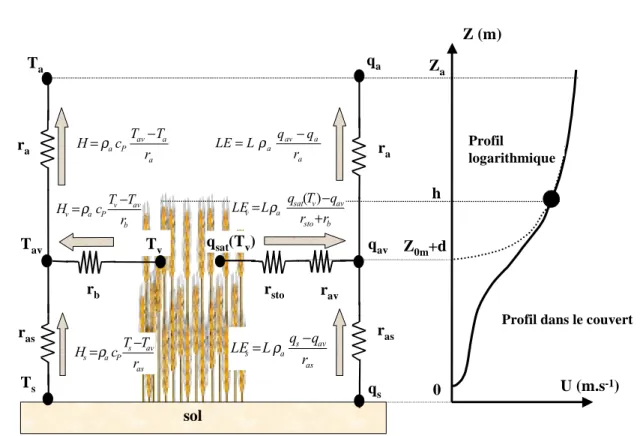 Fig. 2.2 : Modèle bi-couches : Schéma résistif et profil de vent 