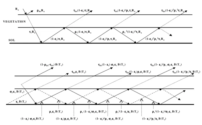 Fig. 3.5 : Composantes radiatives prises en compte dans le modèle directionnel Beer-Lambert :  Origine atmosphérique (haut) et émissions thermiques du Sol et de la végétation (bas) 