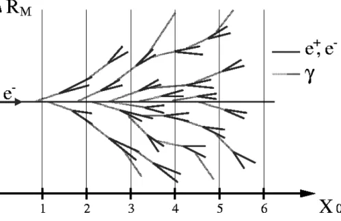 Fig. 4.1: Declenchement d'une gerbe. Les quantites X 0 et R M sont denies dans le texte.