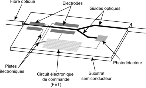 Fig. 1.12: Circuit int´ egr´ e opto-´ electronique sur semiconducteur.