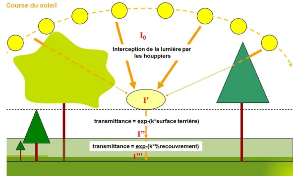 Figure  8  :  Illustration  du  processus  d’interception  de  la  lumière,  notamment  par  le  modèle  SAMSARA (d'après Gaudio, 2010) 