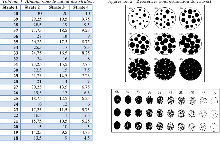 Tableau 1 -Abaque pour le calcul des strates :  Strate 1  Strate 2  Strate 3  Strate 4 