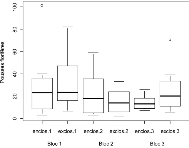 Figure 2     :   Boîtes à moustaches des pousses florifères en fonction de la modalité et des blocs