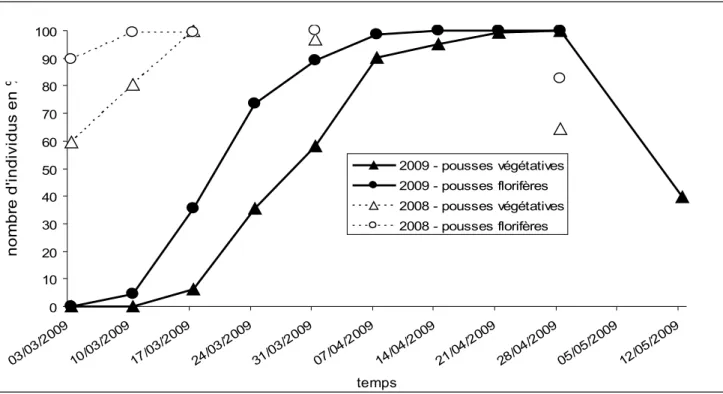 Figure 5     :   Courbes de suivi du nombre de pousses florifères et végétatives pour les années  2008 et 2009.