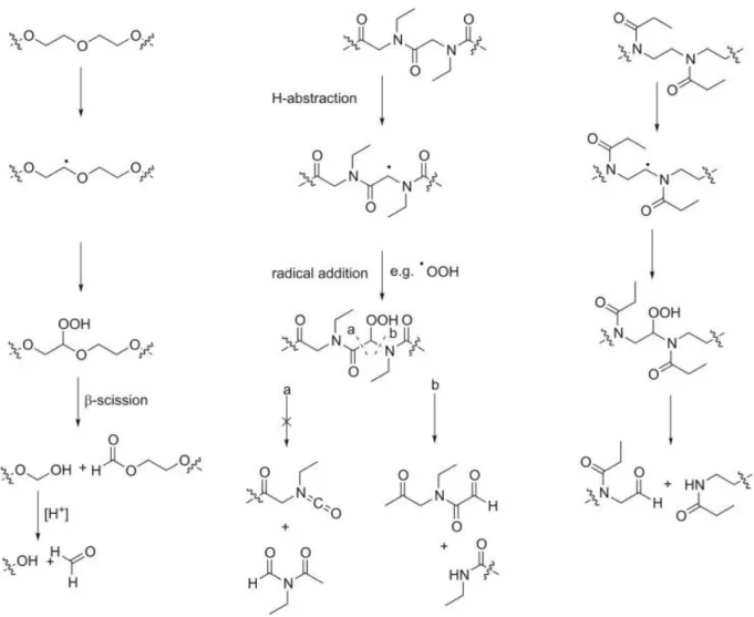 Figure 24. Dégradation de PEG, polypeptoides et poly oxazoline par oxydation  in vivo selon  165
