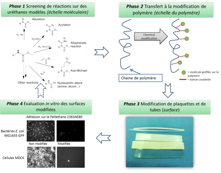 Figure 56. Etapes menant au choix d'une réaction de modification de surface 