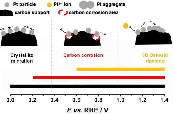 Figure I.12.  Processus de dégradation du catalyseur au platine et de son support et plages de potentiel  correspondantes [60].