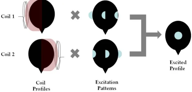 Figure 8:   Cylindrical excitation (2X) via parallel transmission of two orthogonal RF coils resulting in  no aliasing/wrap‐around effect  