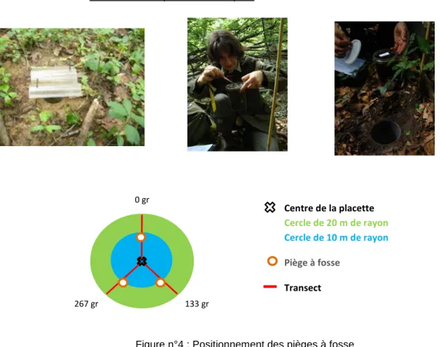 Figure n°4 : Positionnement des pièges à fosse 
