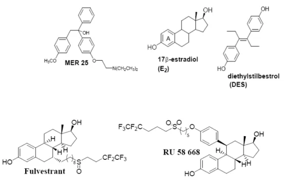 Figure 1-20: Structures de MER 25, fulvestrant, RU 58668, l’œstrogène et (DES): ligands de  récepteur d’œstrogène