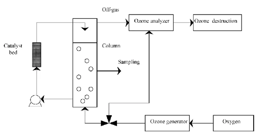 Figure 23. Schéma du procédé expérimental d’ozonation catalytique hétérogène de l’acide pyruvique  (Alvarez et al