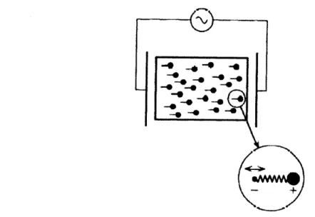 Figure 1.2. Représentation schématique du mouvement des particules chargées dans m milieu diélectrique soumis à un champ électrique de fréquence œ [4]