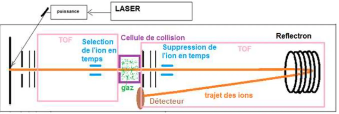 Figure 7 : Schéma de l’appareil Applied Biosystems 4700 Proteomics Analyzer en mode CID  TOF-TOF.(Schéma inspiré d’une publication de Sachon et ses collaborateurs [93] ) 