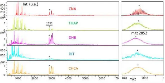 Figure 13 : Spectre MALDI du composé de formule [P 2 W 17 O 63 SnC 36 H 23 N 3 O 2 Ir] 7-  (masse 5038  Da) dans 5 matrices différentes