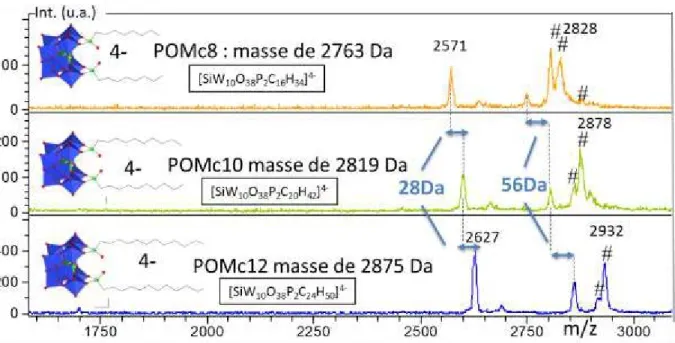 Figure  14 : Spectres  MALDI  et structures  de  POMc8, POMc10 et POMc12 dans CNA. 