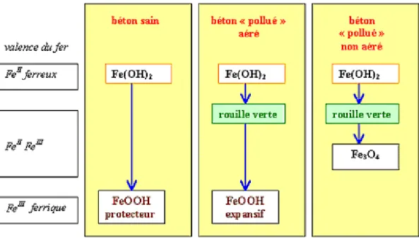 Figure I.9 : Formation des produits de corrosion du fer dans un béton sain ou pollué  [59]