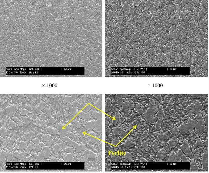 Figure II.1 : Observations par microscope électronique à balayage de la surface d’acier au carbone  C15  révélant les deux phases en présence