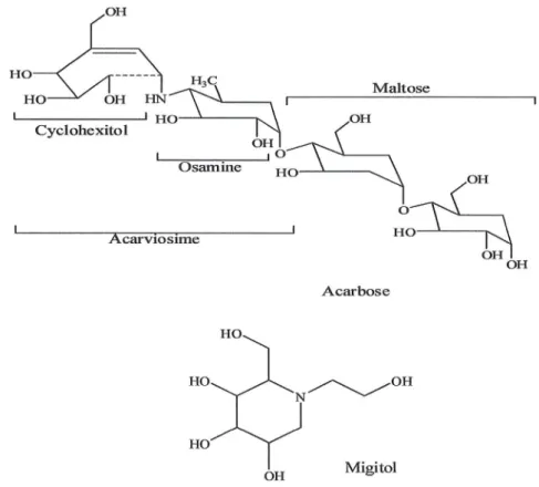 Figure  13.  Les  structures  chimiques  de  deux  molicules  inhibitriees  a-glucosidases Mode  d'action  :