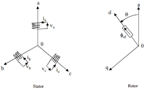 Figure I-4: Représentation d’une machine synchrone à aimants permanents 