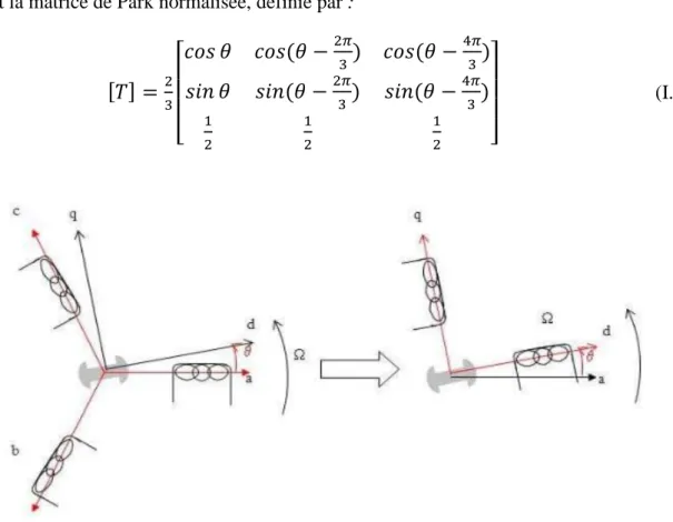 Figure I-5: Schéma équivalent de la MSAP dans le repère (d,q) 