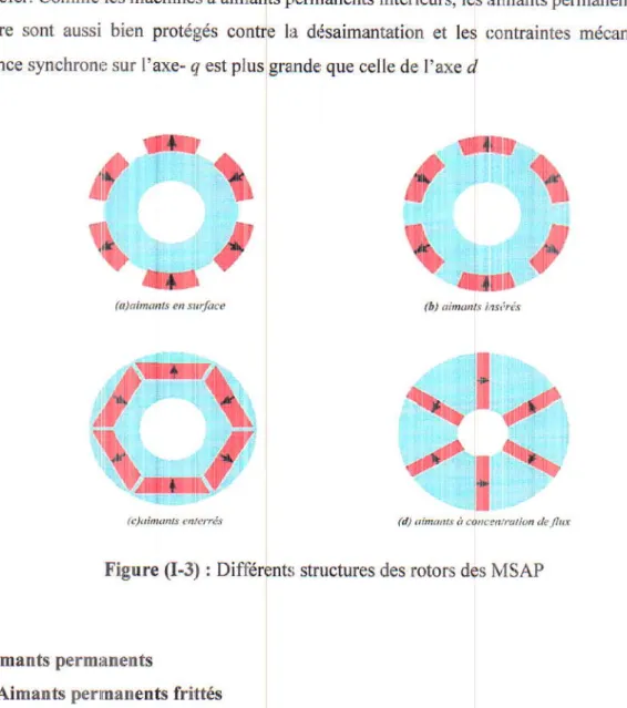 Figure  (I-3)  : Différentri  structures  des  rotors  des  IvlSÀP