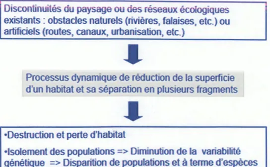 Figure 2 :  Schéma caractérise le processus de fragmentation et ses conséquences(Anonyme ,2008)