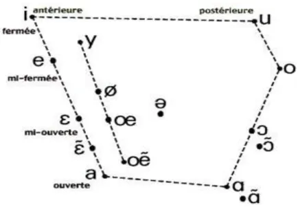 Figure n° 07: Trapèze articulatoire des voyelles françaises 