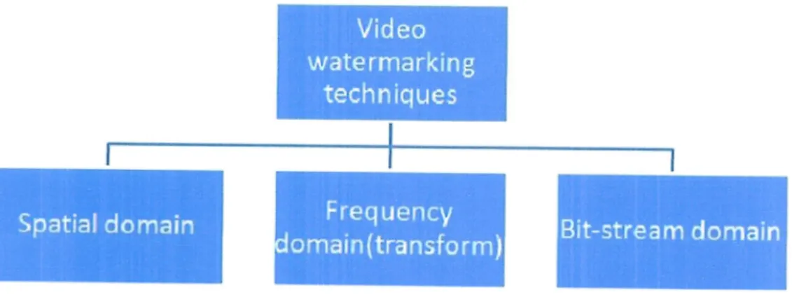 Figure 2.3: Vidco watermarking  techniclucs