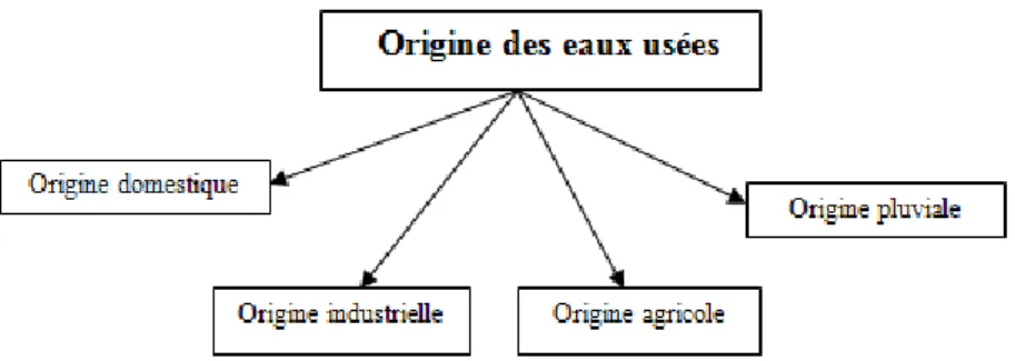 Figure I.1 Origines des eaux usées  I.2.1. Origine domestique  