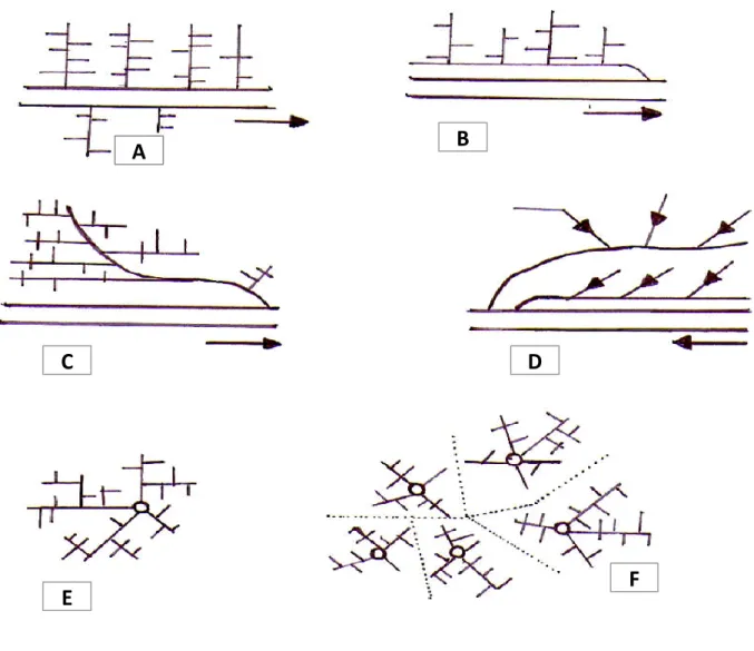 Figure III.2 : Schémas des types de  réseaux 