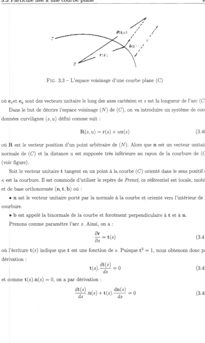 FIG.  3.3  - L'espace  voisinage d 'une  courbe plane  (C) 