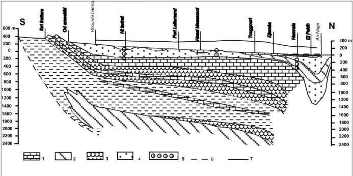 Figure 8 : Coupe schématique Nord-Sud partielle du Bas Sahara (Cornet, 1964). 