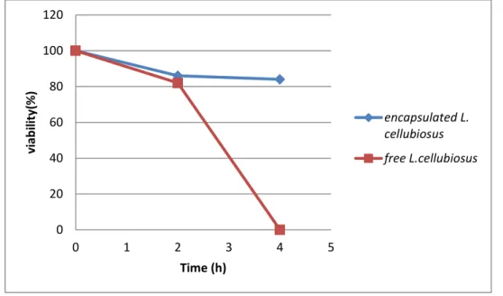 Figure  III.4 :viability  of  free  and  encapsulated  L.cellubiosus  in  simulated  gastrointestinal  conditions