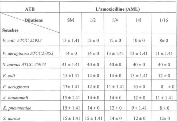 Tableau V.5: Résultats de l'association de l'extrait méthanolique de  C.  azarolus avec l' AML 