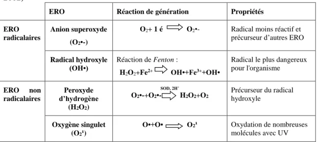 Tableau 01 : Espèces réactives de l’oxygène (ERO) les plus importants (Deby-Dupont et al.,  2002) 