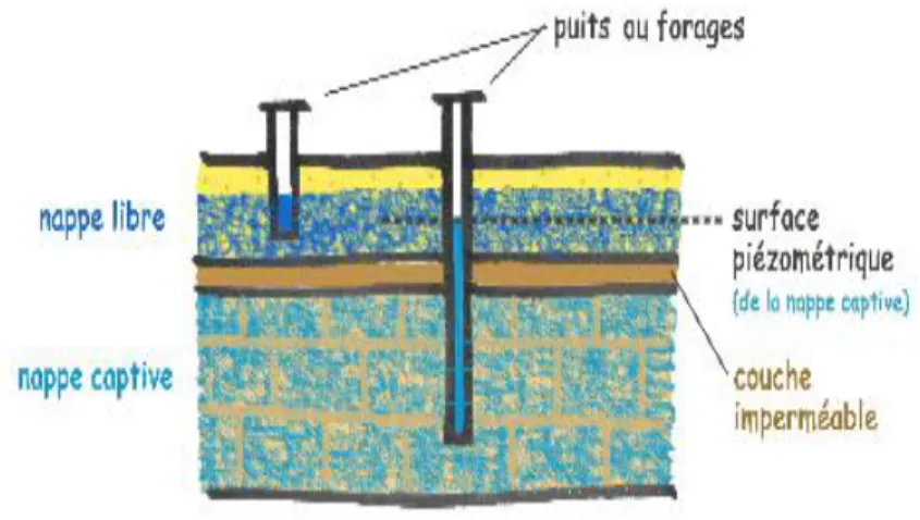 Figure 1.1.2: Schéma en coupe: nappe libre et captive.