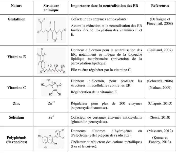 Tableau 2: antioxydants non enzymatiques endogènes et exogènes 