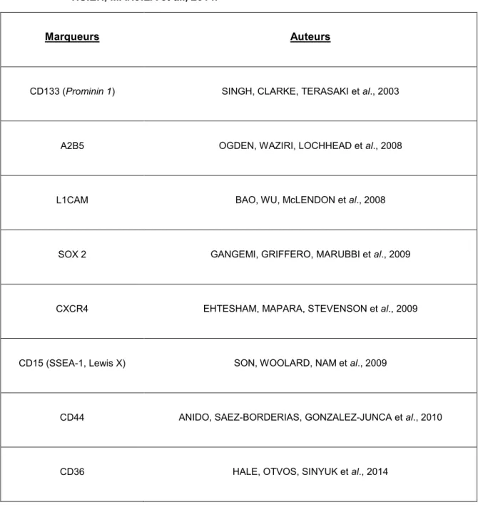 Tableau  III :  Marqueurs  moléculaires  utilisés  dans  l’étude  des  CSCGs  d’après  SUNDAR,  aaaaaaaaaaaHSIEH, MANJILA et  al ., 2014