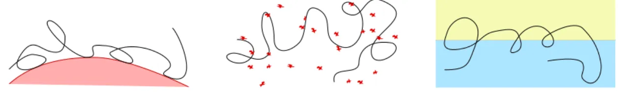 Figure 1. Quelques exemples de situations physiques que l’on souhaite ´etudier. De gauche ` a droite : polym`ere ` a la surface d’une cellule, polym`ere dans un solvant contenant des impuret´es, polym`ere ` a l’interface entre deux solvants (par exemple hu