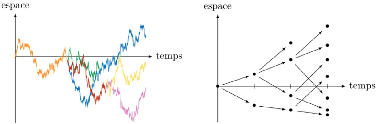 Figure 1.1 – À gauche, réalisation d’un mouvement brownien branchant, où la trajectoire de chaque individu est représentée dans une couleur différente