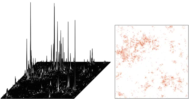 Figure 1.10 – À droite, réalisation de e βX , où X est un DGFF sur D N = (0, N ) 2 ∩ Z 2 avec N = 256 et β = β c /2